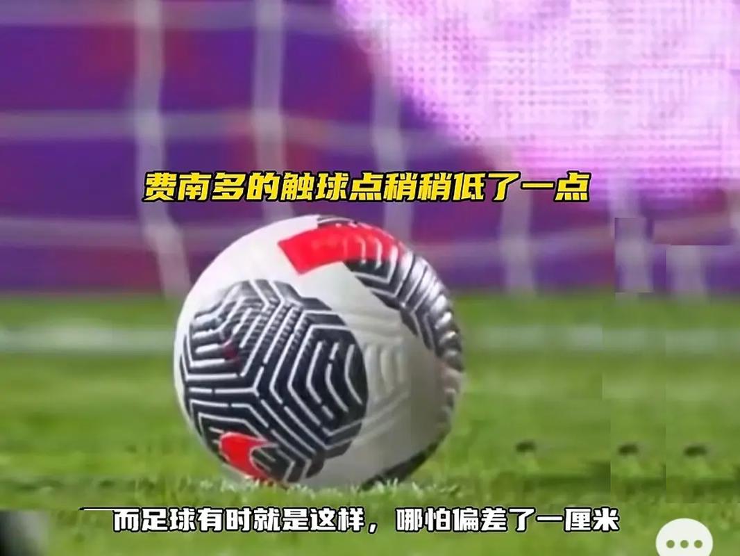 兰总统泽连